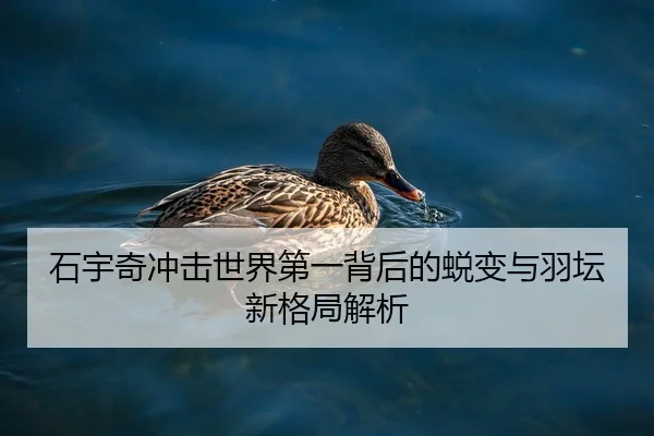 石宇奇冲击世界第一背后的蜕变与羽坛新格局解析